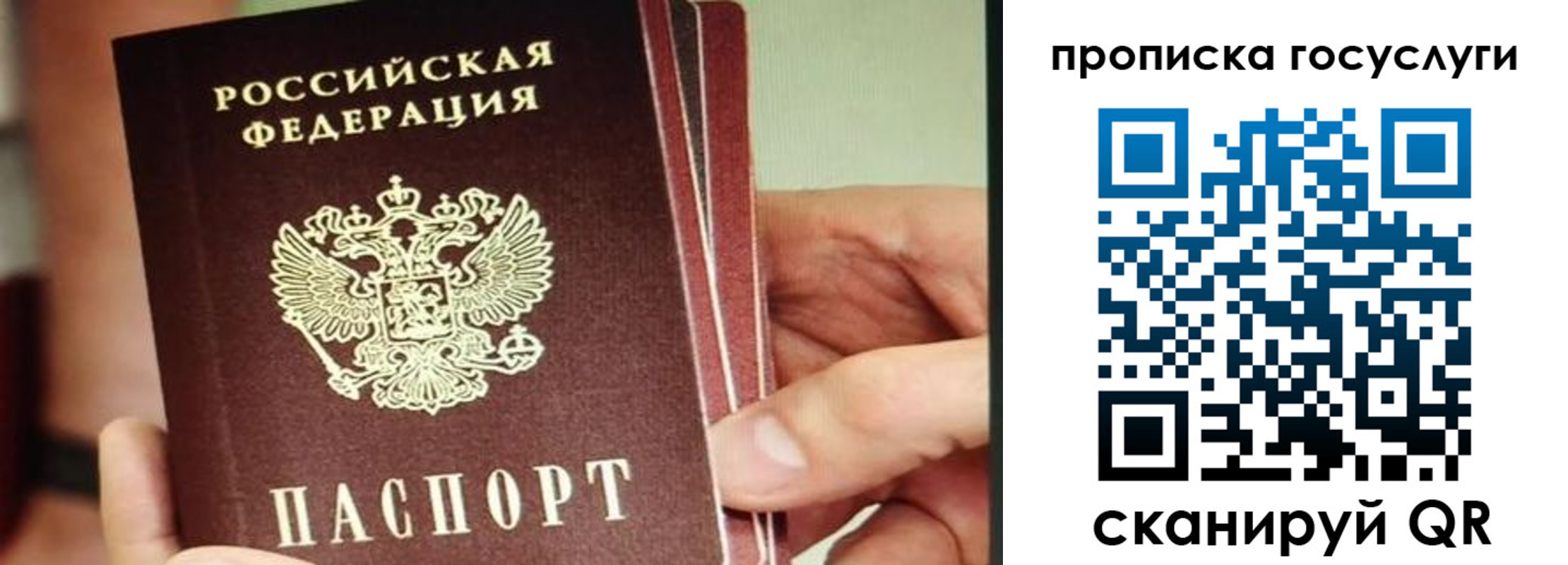 пропишу в квартире в Сунже